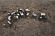 FileNo.205-054.jpg