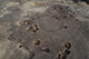 FileNo.205-058.jpg