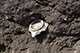 FileNo.205-062.jpg