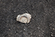 FileNo.205-063.jpg
