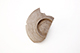 FileNo.205-083.jpg