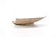 FileNo.205-086.jpg