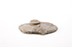 FileNo.205-119.jpg