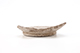 FileNo.205-123.jpg