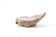 FileNo.205-124.jpg