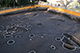 FileNo.206-009.jpg