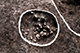 FileNo.206-010.jpg