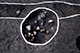 FileNo.206-011.jpg