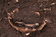 FileNo.206-016.jpg