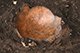 FileNo.206-017.jpg