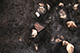 FileNo.206-021.jpg