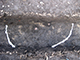 FileNo.206-022.jpg