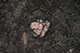 FileNo.206-024.jpg