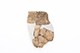 FileNo.206-032.jpg