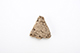 FileNo.206-046.jpg