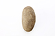 FileNo.206-092.jpg
