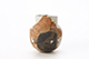 FileNo.206-103.jpg