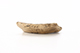 FileNo.206-118.jpg