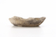 FileNo.206-130.jpg