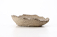 FileNo.206-131.jpg