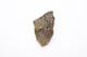 FileNo.206-132.jpg