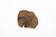 FileNo.206-133.jpg