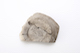 FileNo.206-142.jpg