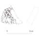 図版 206-J091.jpg