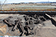 FileNo.204-0149.jpg