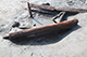 FileNo.204-0151.jpg
