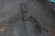 FileNo.204-0152.jpg