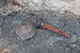 FileNo.204-0155.jpg