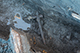 FileNo.204-0156.jpg
