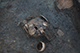 FileNo.204-0159.jpg