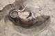 FileNo.204-0196.jpg
