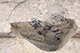 FileNo.204-0200.jpg