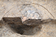 FileNo.204-0203.jpg
