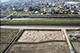 FileNo.204-0212.jpg