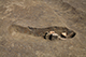 FileNo.204-0221.jpg
