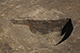 FileNo.204-0225.jpg
