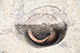 FileNo.204-0236.jpg