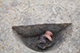 FileNo.204-0237.jpg