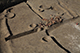 FileNo.204-0240.jpg