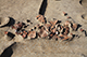 FileNo.204-0241.jpg