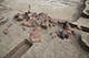 FileNo.204-0242.jpg