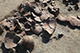 FileNo.204-0243.jpg