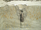 FileNo.204-0255.jpg