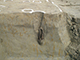 FileNo.204-0256.jpg