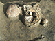 FileNo.204-0275.jpg