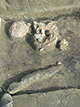 FileNo.204-0276.jpg